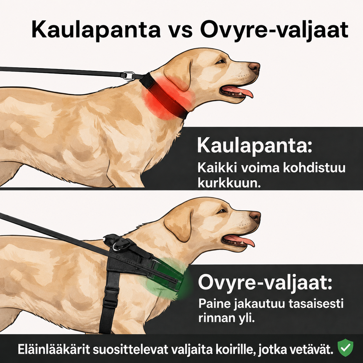 Ovyre Ohjausvaljaat™