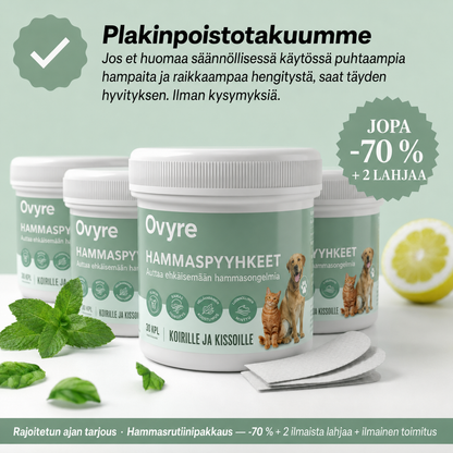 ProCare-hammaspyyhkeet