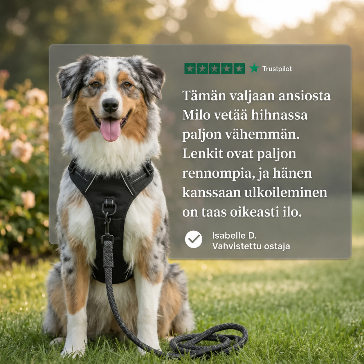 OVYRE™ VETOESTOVALJAAT