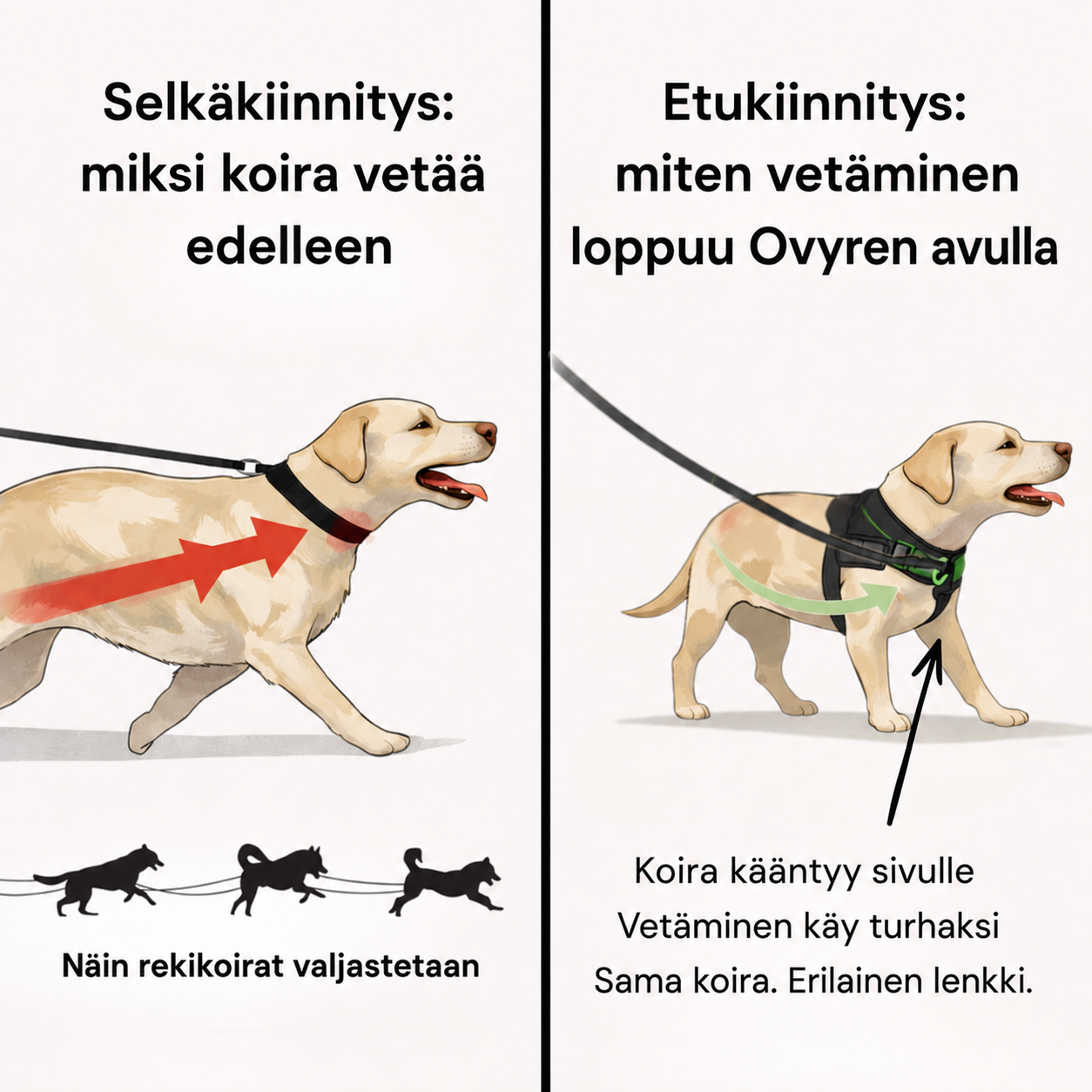 Ovyre Ohjausvaljaat™